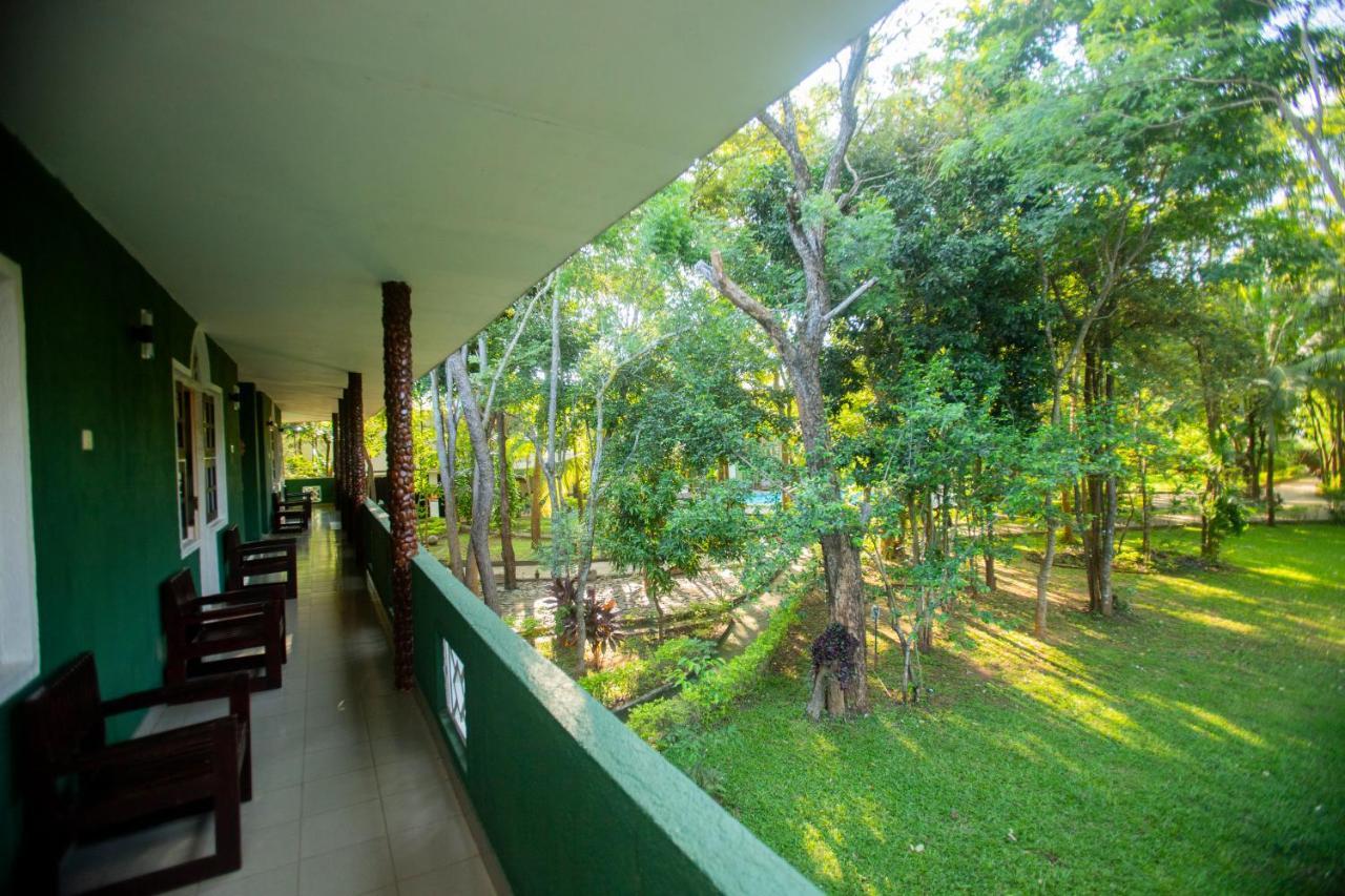 Hotel Eden Garden Sigiriya Luaran gambar